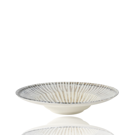 TSC Dining Coral Pasta Porcelain Plate TSC Dining Coral Pasta Porcelain Plate