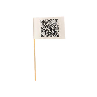 Custom Toothpick Flags 100mm