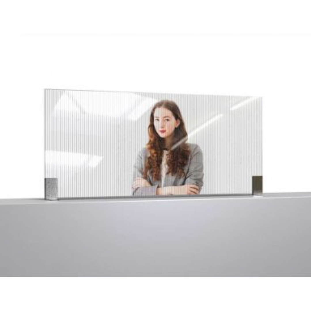Avant Guarde™ 46x20 Semi-Clear Booth Divider, 1 EA