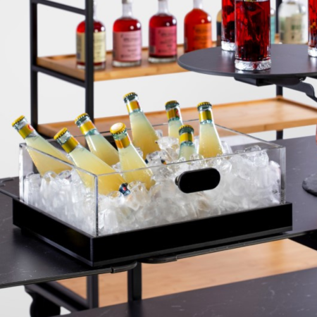 Rosseto Ice Cooler and Tray Set Clear and Black Acrylic