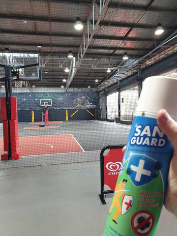 SanGuard Sanitiser Aerosol 500 ml (Pack of 12/10 cartons of 12)
