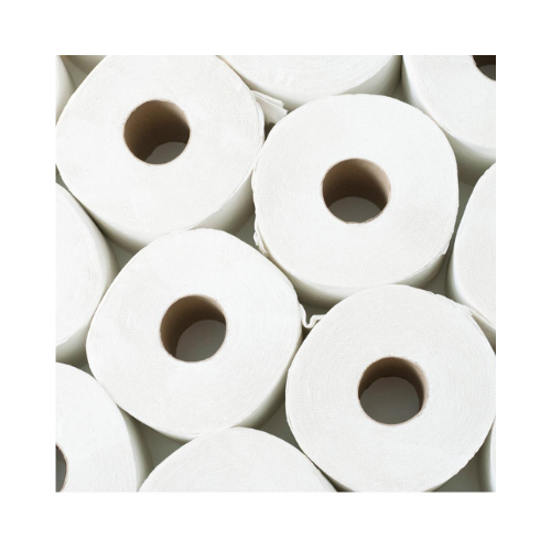 Premium Toilet Paper- 48 rolls